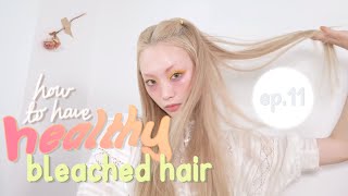 ✩ how to have //healthy// bleached hair ✩