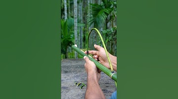 DIY Bamboo Creations with Green Bamboo archer #Bamboo #Diy #Slingshots
