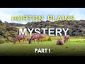Horton plains national park  part 1