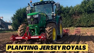 Sun is back OUT! We’re back planting Jersey Royal potatoes, plus we’ve got our new John Deere 6R145