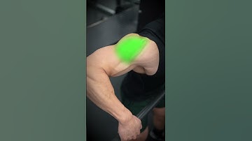 🎯 TARGET ALL HEADS of the Shoulder on the Smith Machine!