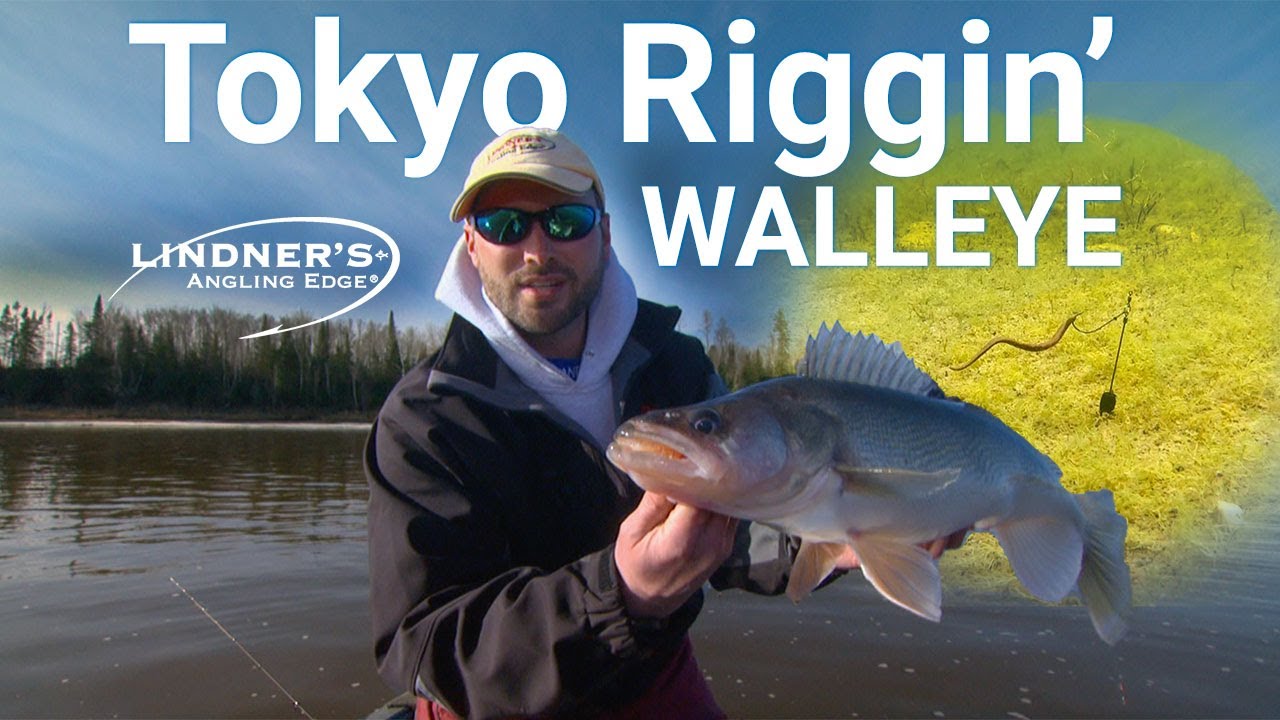 The Best Tokyo Rigging Walleye Tactics