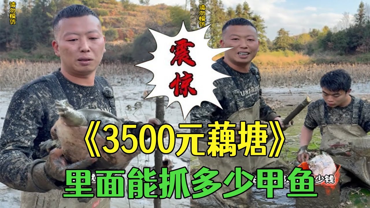 花 3500 塊包下口藕塘，看看能抓到多少甲魚上來#小飛哥 #護外 #農村生活  #新農人計劃2026  #鄉村守護人