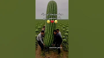 عبارات جميلة مع موسيقى حزينة هادئة حالات واتس ابستوريات انستا خواطر حزينة Story اقتباسات 