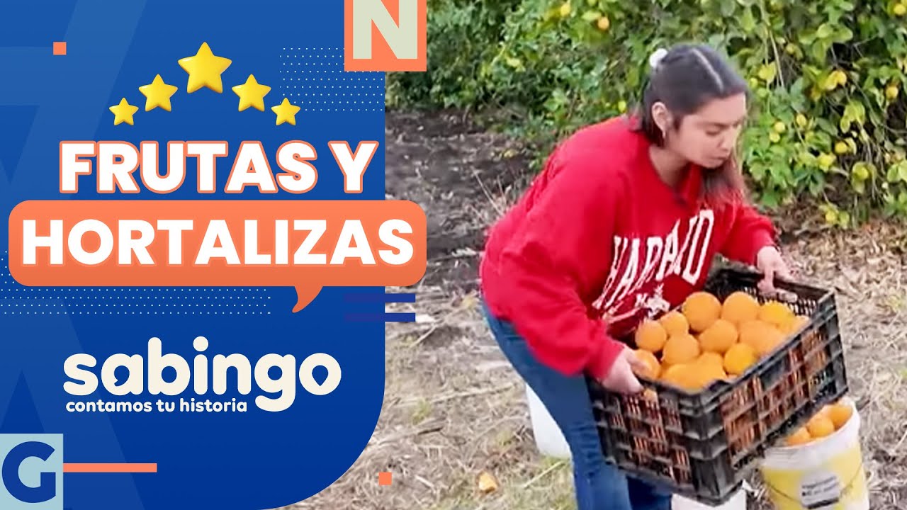 PRODUCE HORTALIZAS Y FRUTAS: La historia de Carolina León de Peralillo - Sabingo | Raíces campesinas