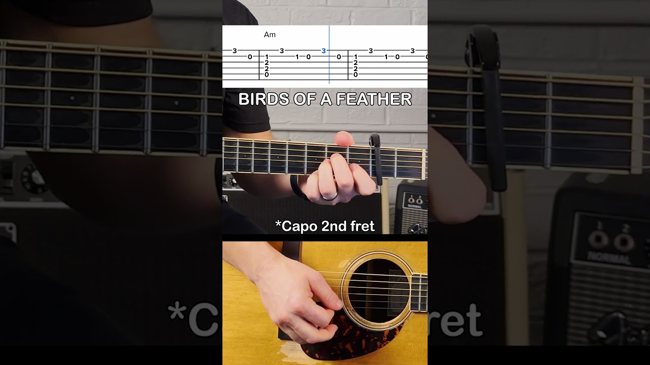 Birds of a Feather - Billie Eilish TABS 