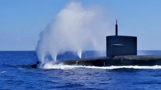Dolphins Swimming With Nuclear Submarine USS Pennsylvania (SSBN 735)