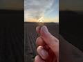 Очень светлая находка!!! 🤣🤣🤣 #metaldetecting #прикол #юмор #коп #tehnology #технология #приколы