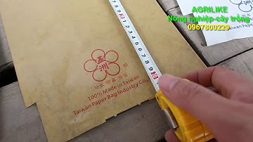 bọc trái cây sạch loại 1, chống ruồi vàng, côn trùng, tiết kiệm công phun