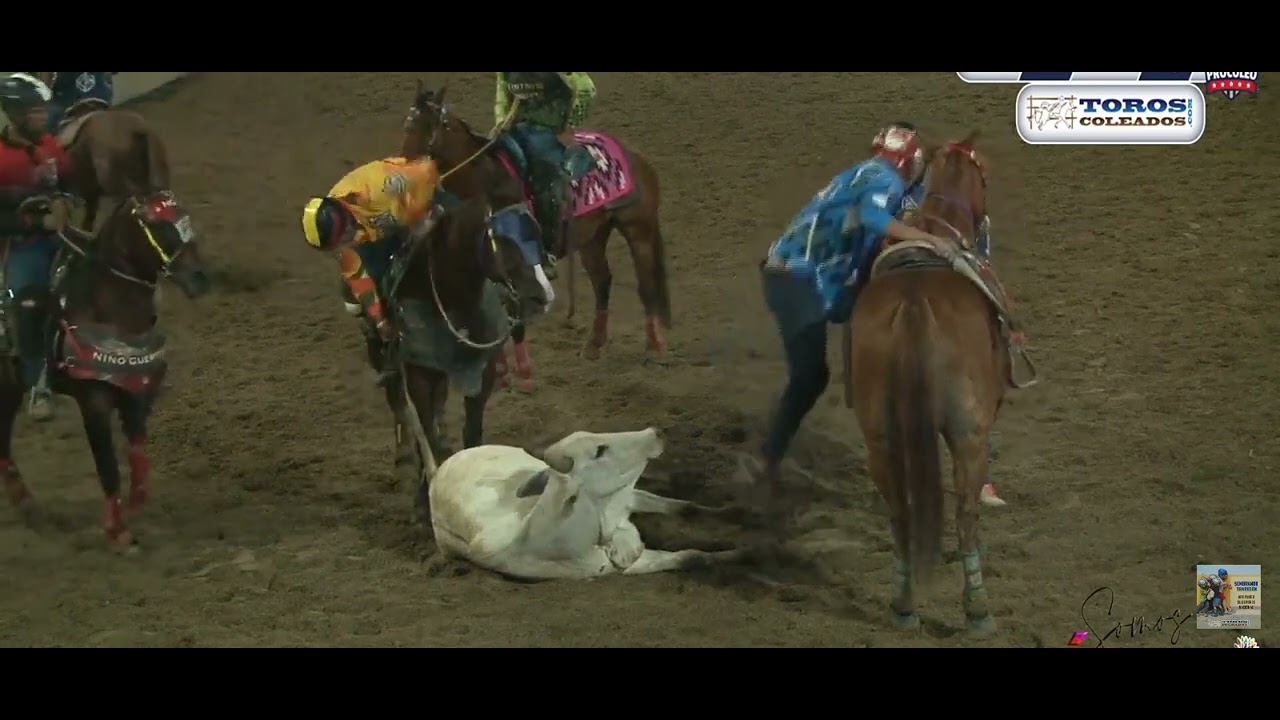 Procoleorakin IV circuito III Temporada Mérida 2023 salida 3 categoría sub 40 final
