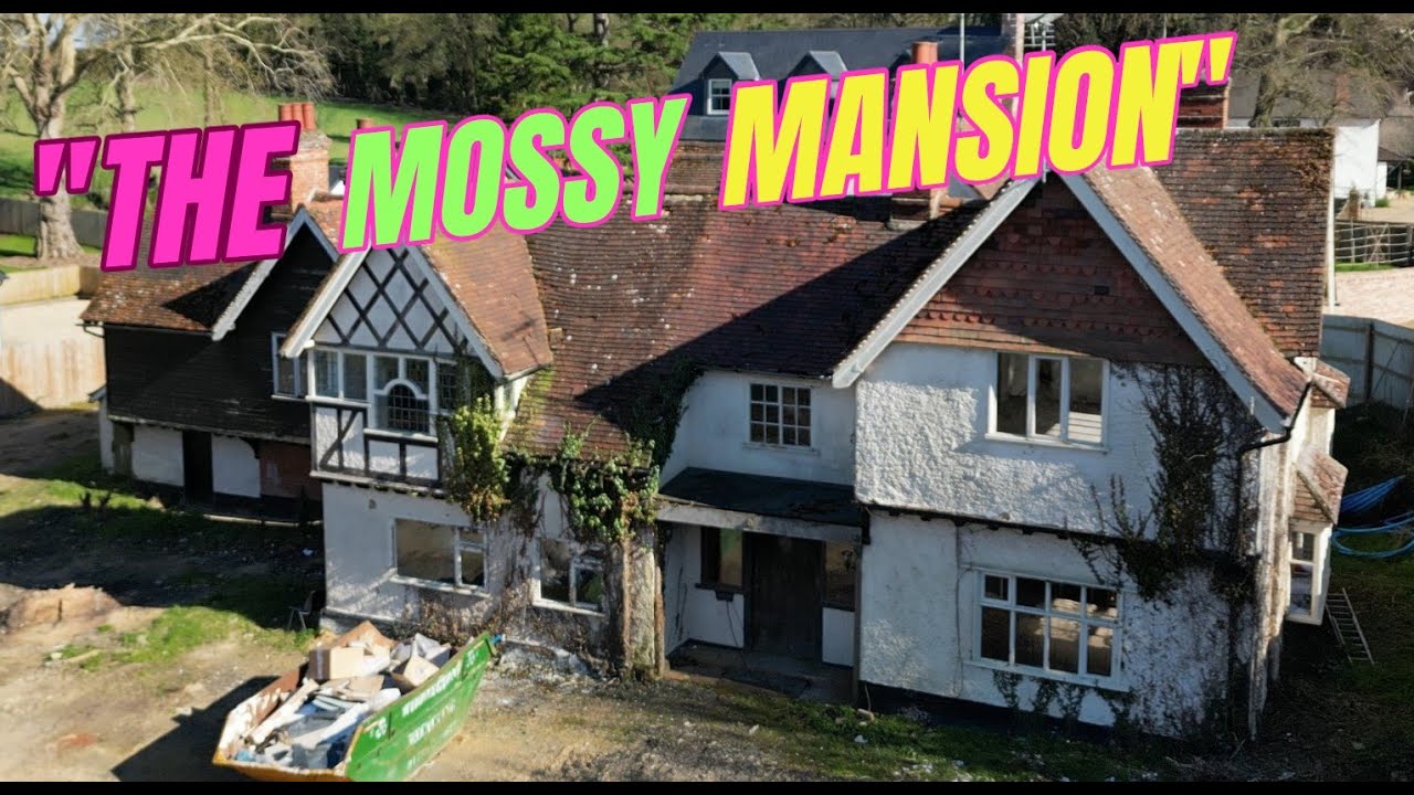 I bought the worlds most expensive box of moss...