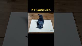 色鉛筆画 カラス(原画) 色鉛筆でカラス描きました✏️ #アート #色鉛筆 #カラス #鳥 - YouTube