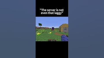 The server: #minecraft #shorts #minecraftmemes #memes #funny #lag