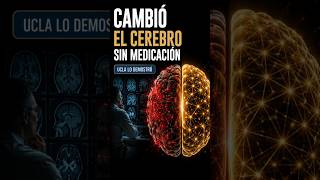 La prueba científica de que asumir funciona
