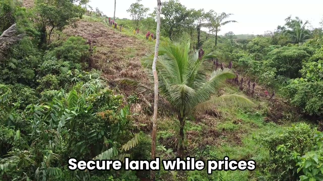 PROPERTY #14 | 1 HECTARE PRIME UPHILL FARMLAND FOR SALE | 2.5M | LUCban, QUEZON 