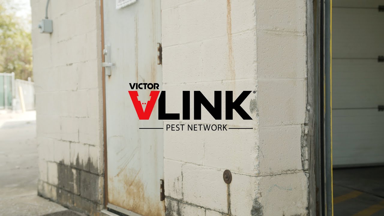 VLink V450 Electronic Mouse Trap (US915) Self Provisioned