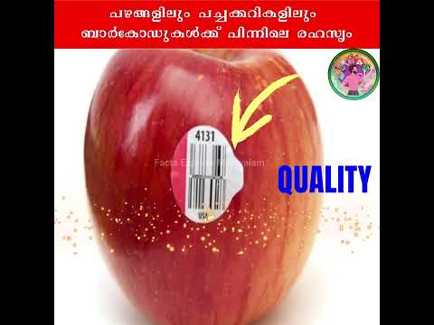 പഴങങളല സററകകറകളൽ കഡകളട മറഞഞരകകനന അർതഥ Stickers on Fruits in Malayalam shorts