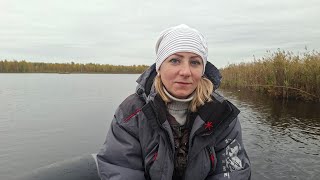 видео: Осенняя рыбалка на лесном озере. Рыба сошла С УМА ! картинка: Осенняя рыбалка на лесном озере. Рыба сошла С УМА !