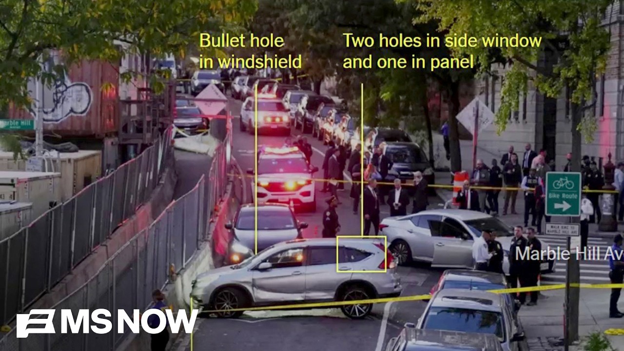 Analysis of ICE shooting scene raises questions about official story