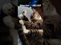 My baby RUMBLE TOOK A VERY GOOD NAP💕💤🤣#wedorecover #funny #FUNNYCATVIDEOS