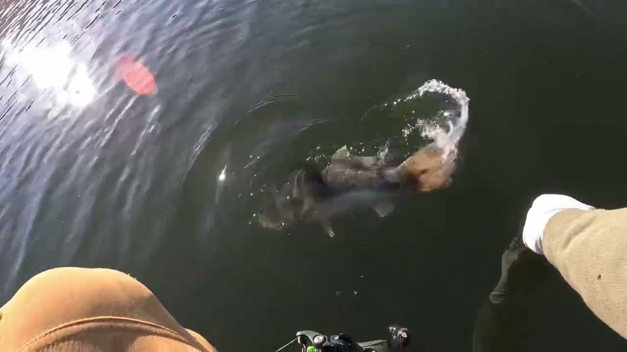 The Fishing Pressure At Badin Lake STRUGGLES Kayak Bass Fishing