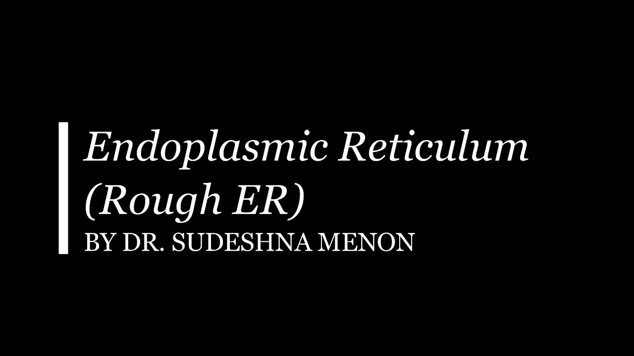Rough Endoplasmic Reticulum