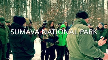 Exchange on forest disturbances