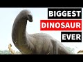 The Biggest Dinosaur Is Not Argentinosaurus It S This