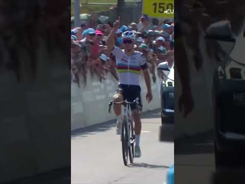Evenepoel rend hommage à Gino Mäder avec sa victoire le Tour de Suisse #shorts #cycling #short