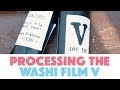 A Look at Film Washi V, The Handmade Film on Japanese Gampi Paper