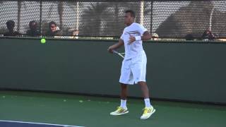 J.Tsonga Forehand in Slow Motion Profile