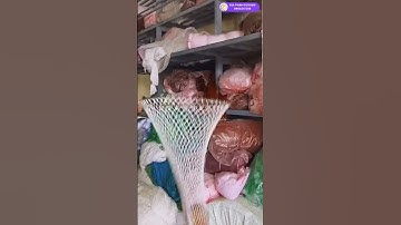 Siêu phẩm lưới vợt cá đan tay truyền thống đã sẵn sàng, net fishing, fishing net,#shorts