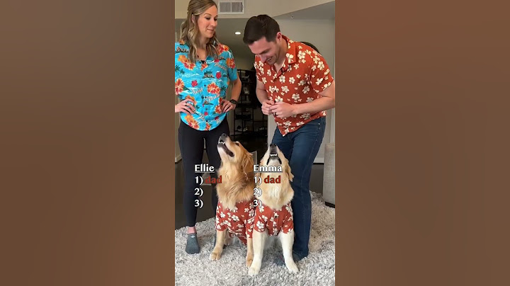 Dog favorite parent challenge #goldenretriever #puppy