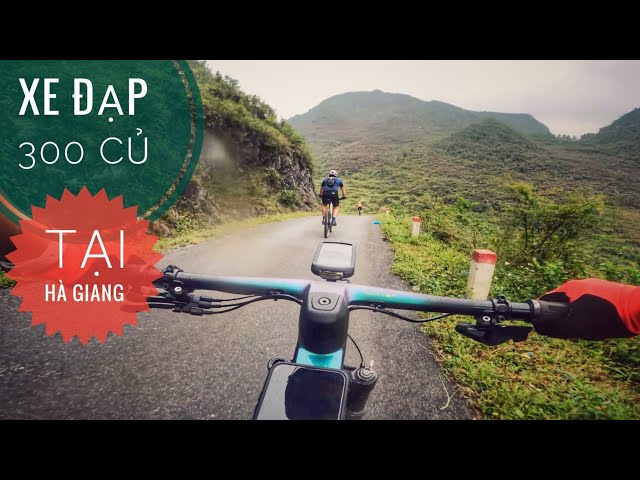 Xe Đạp 300 Triệu của Cậu Em người Hà Giang/ NhamTuatTV - Dog in Vietnam class=