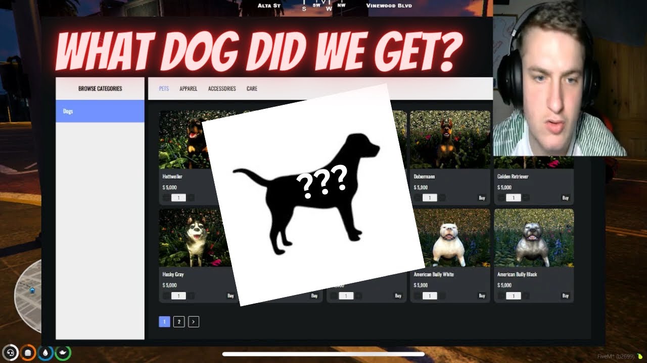 We Brought A New Dog!!! GTA RP HDRP - YouTube