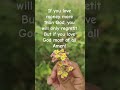 GOD IS GOD ✝️ AMEN #god #eveningprayer #prayer #christianprayer