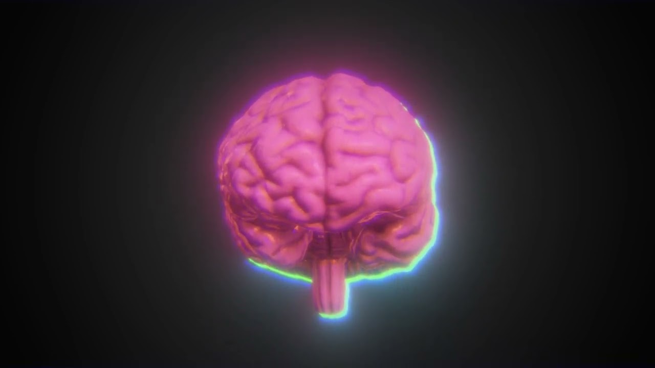Human Brain 3D Animation Show real
