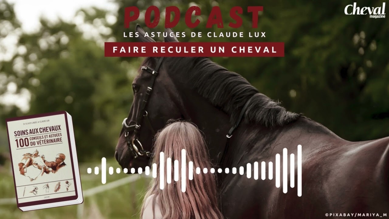 [PODCAST] Les astuces Claude Lux : Faire reculer un cheval