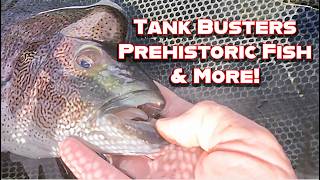 Tank Busters, Pond Finds & More!