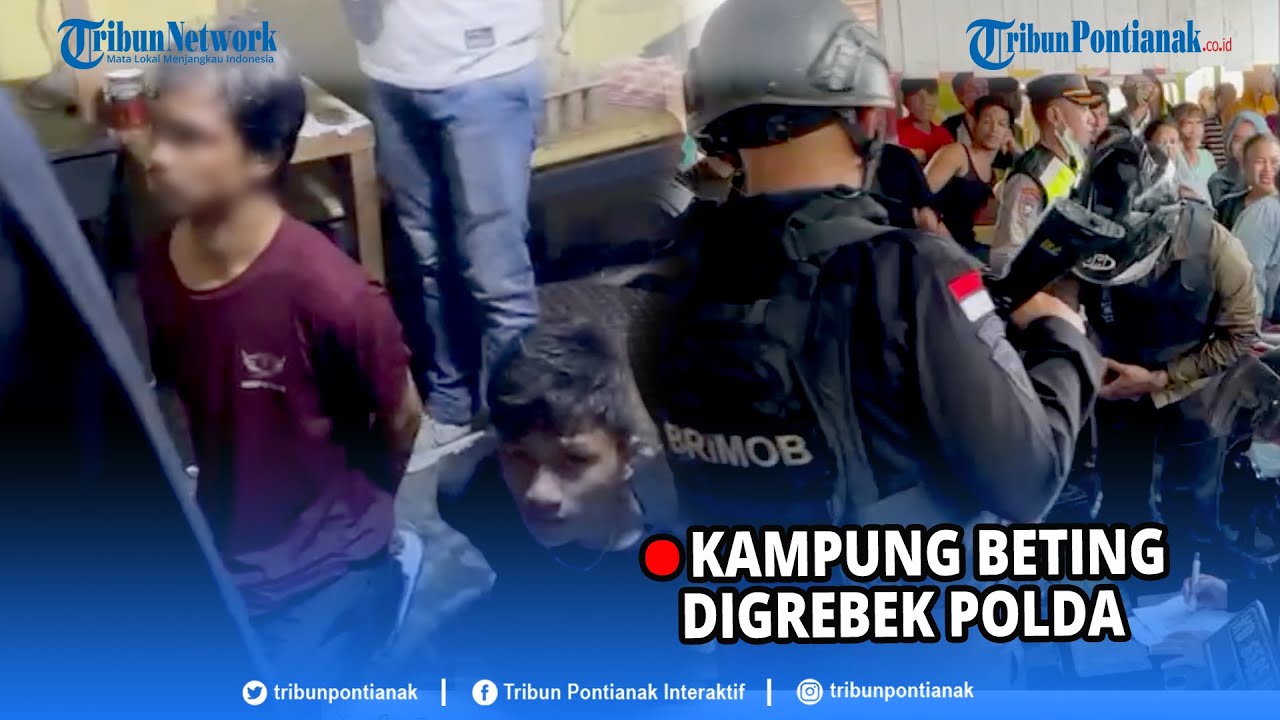 🔴 Polda Kalimantan Barat melakukan Penggrebekan di Kampung Beting