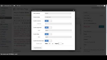 How to Publish Easy Media Gallery ( Advance Method )