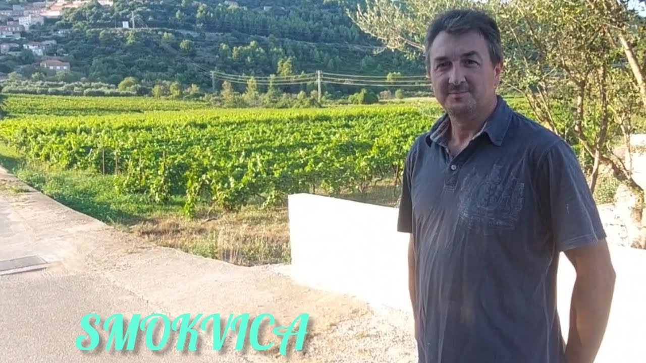 PRIČA O SMOKVICI / ČARA, BRNA Korčula / THE STORY OF SMOKVICA / ČARA, BRNA