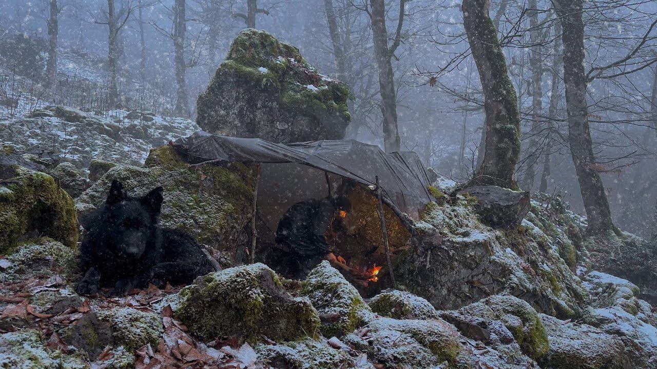WINTER STORM SURVIVAL Under Rock ! Camping in -28°C Snowy Wilderness ...