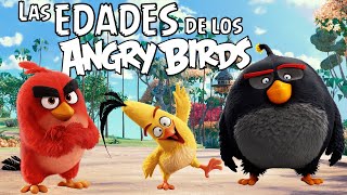 Las Edades De Los Angry Birds Teoría
