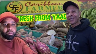 Fresh Jamaican Produce And Groceries In Little Jamaica, Toronto 🇨🇦