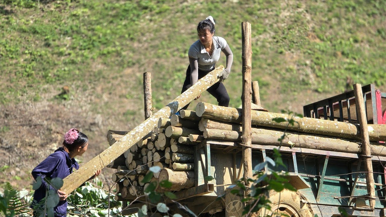 Using an Agricultural vehicle,two girls transporting wood got stuck in the mud.#wood #truck #farming
