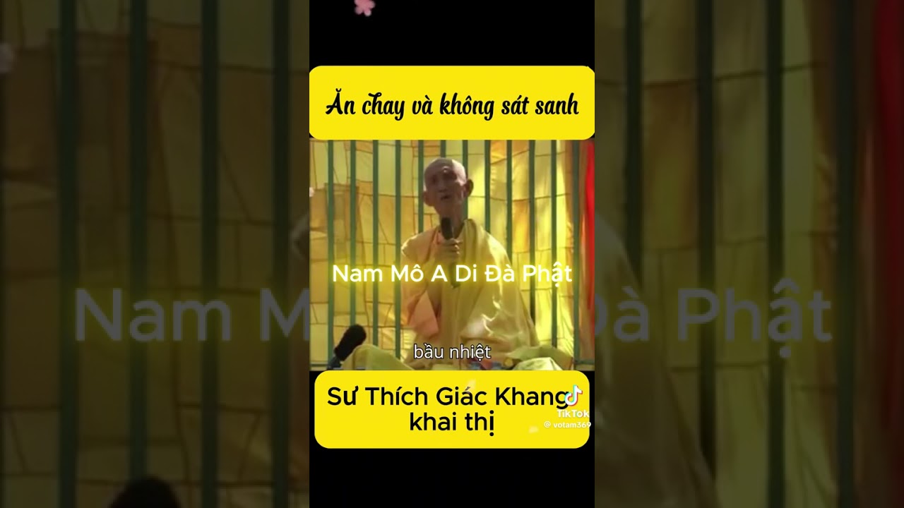 Không sát sanh hãy phóng sanh. Muôn loài không khác gì ta.