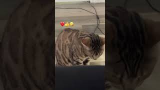 Pluto Is Always Remember One Of Us 