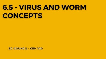 6.5 - Virus and Worm Concepts