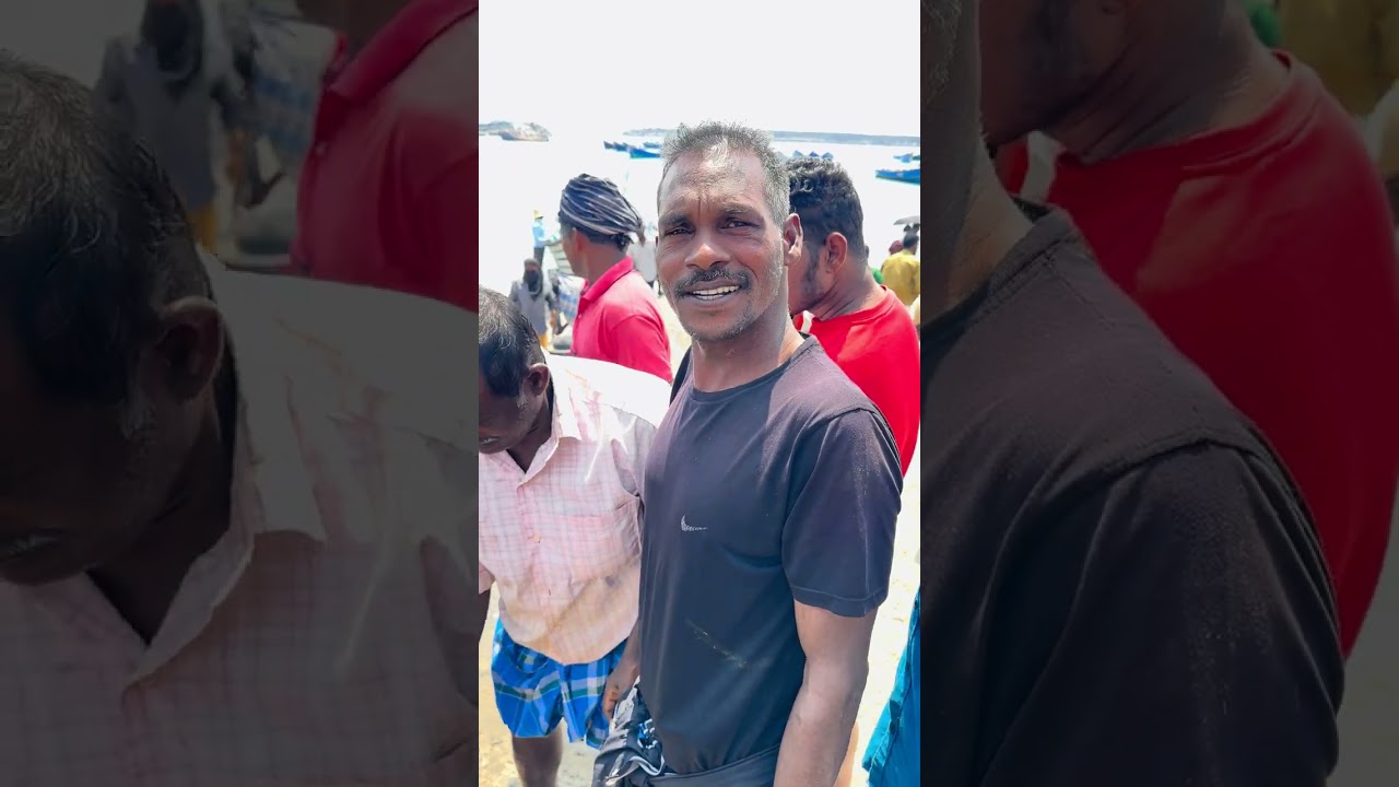 3 മാൽ നിറയെ കൊണ്ട് വന്ന മീനുകൾ കണ്ടോ #kadalkara #seafood #vizhinjam #fish #food 